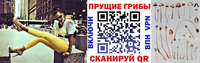 Галлюциногенные грибы мухоморы  Туран 